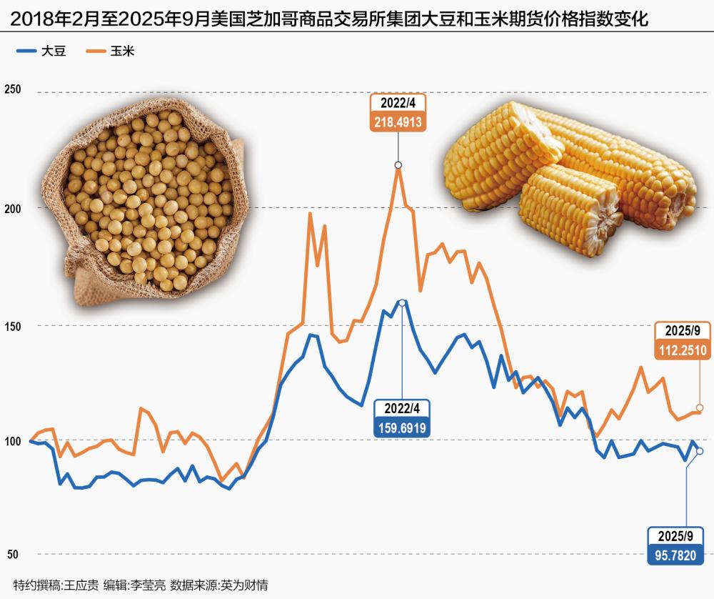 美國大豆玉米出口與價(jià)格“雙殺” 農業(yè)會(huì )否影響明年中期選舉？