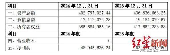 ▲匹克公司财务数据,图源:公司公告