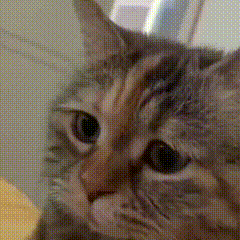 来源：央视新闻