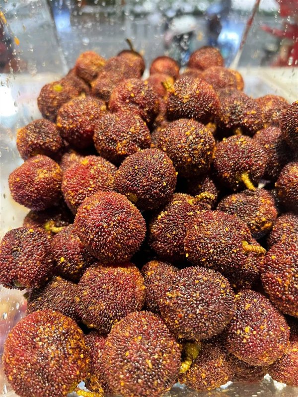 应季的椒盐杨梅。图源：小红书@南宁酸嘢食光