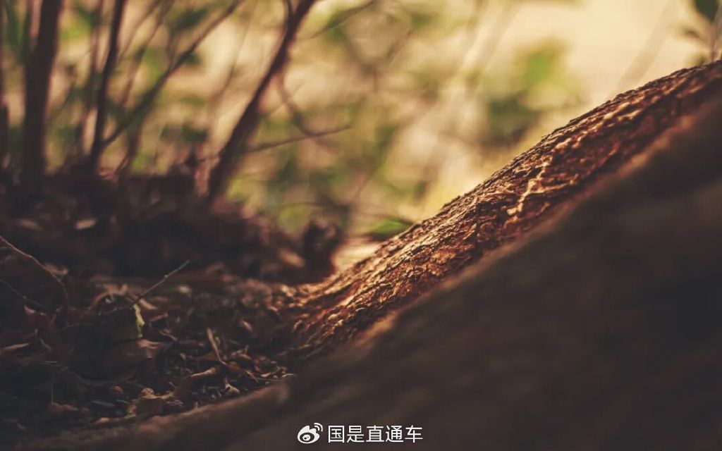 如果你经常心情烦躁、情绪内耗，可能没有明白这3点