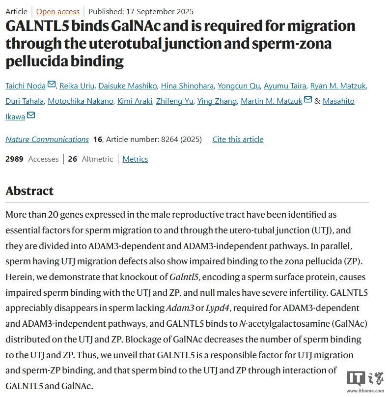 科学家发现关键蛋白质 GALNTL5，有助于诊疗男性不孕不育及研发新型避孕药