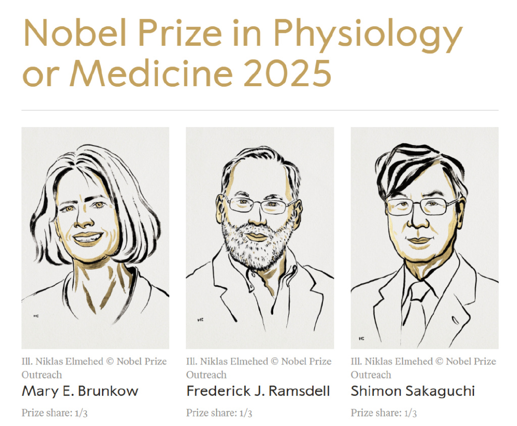 图片来源：诺贝尔奖官网