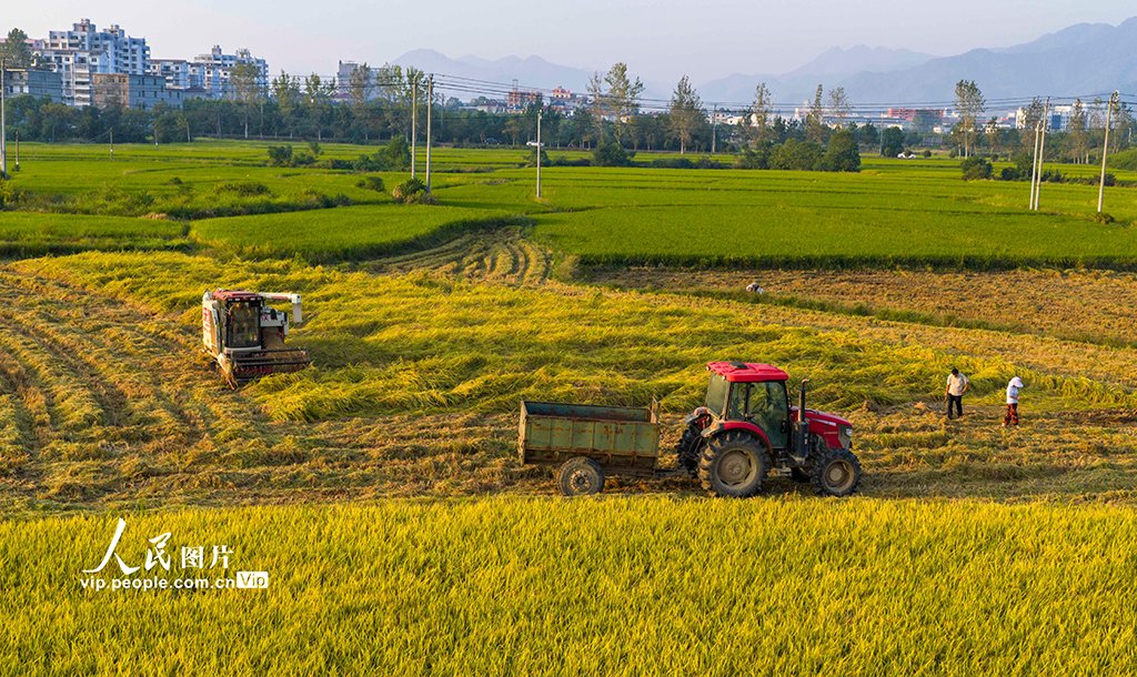江西都昌天气预报 江西都昌天气预报