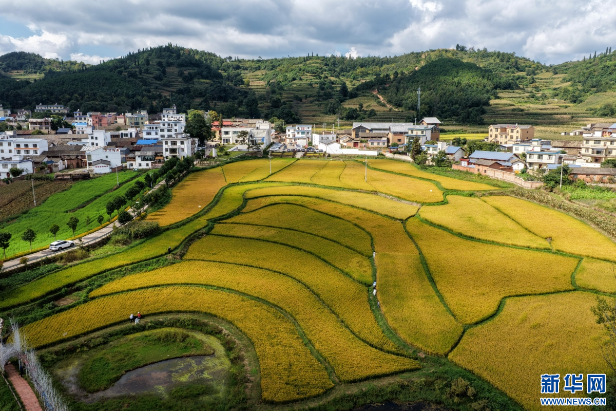 红瓦房村美丽的田园风光(10月5日摄).新华网发