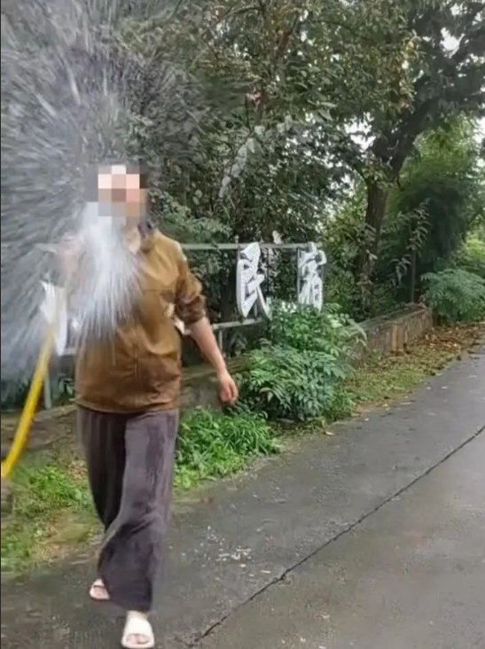 ▲民宿老板娘用洗车的水枪喷捡拾板栗的游客。图/极目新闻