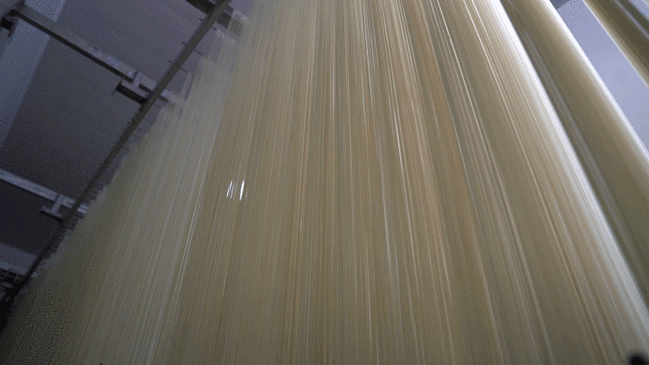 藁城宫面。藁城区融媒体中心提供 河北日报记者许佳奇制作