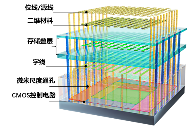 二维-硅基混合架构闪存芯片结构示意图，包含二维模块、CMOS 控制电路和微米尺度通孔