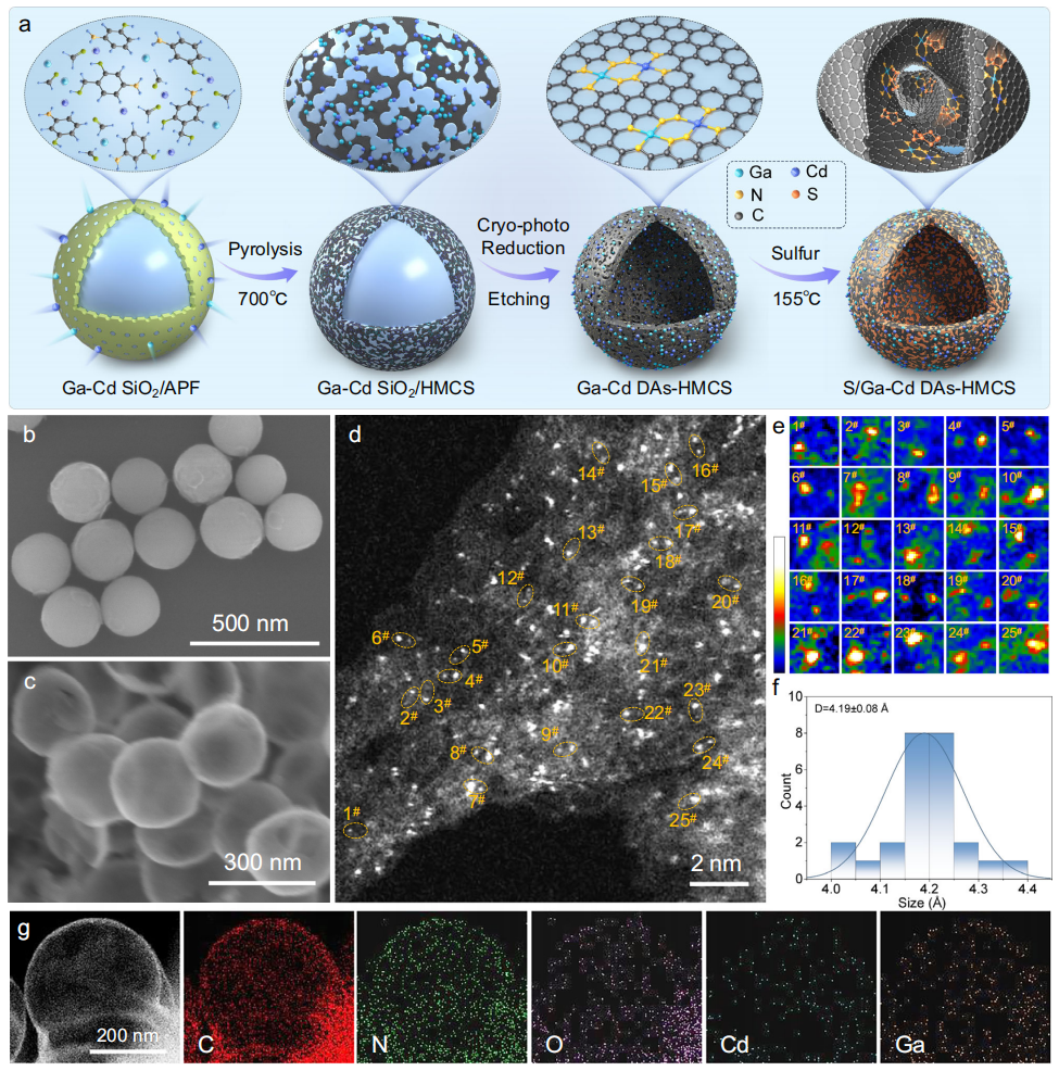 【科技】北京大学张锦院士、郭少军/中科大余彦Nature子刊：Ga-Cd双原子催化剂，大幅度提升钾硫电池反应|轨道|正极|电子|位点|原位_手机新浪网