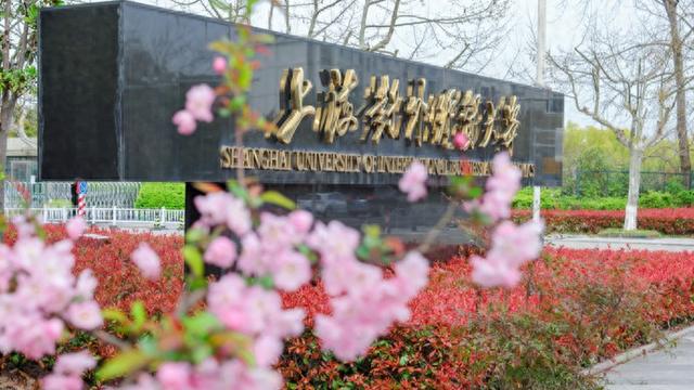 实训基地开到海外,业财融合有新模式,上海这所高校这样培养全球抢手会计人才|周立新|上海对外经贸大学|上海市|导师|产业_手机新浪网
