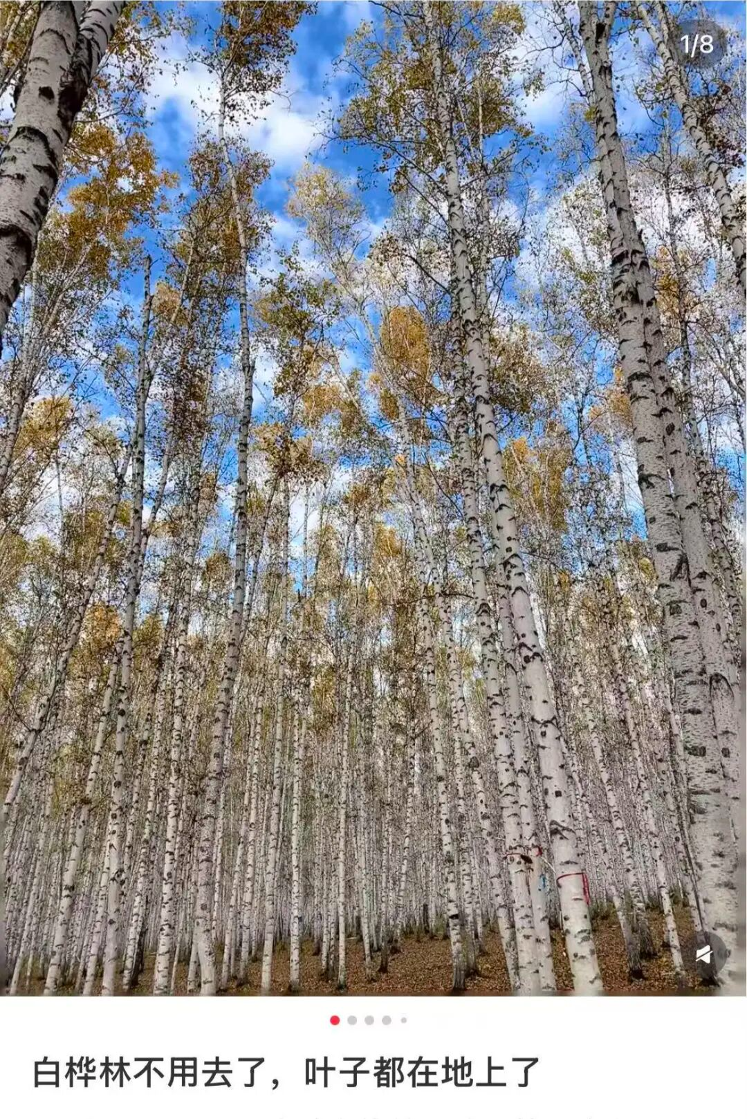 图源：小红书@加一点