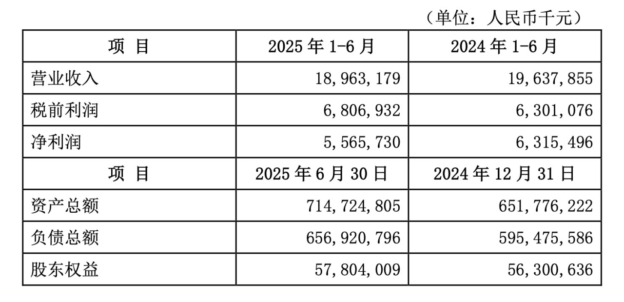 （来源：微众银行2025年半年度报告）