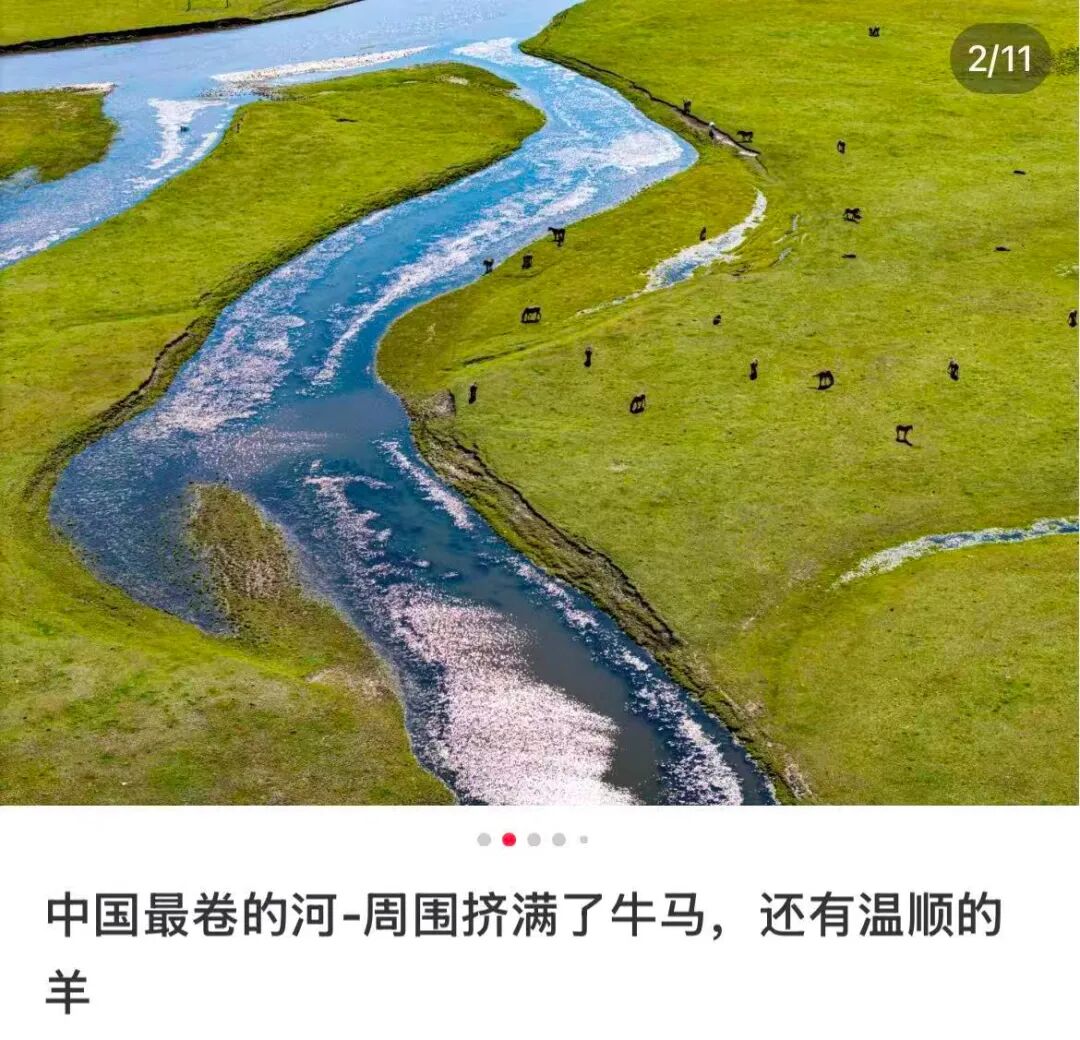 图源：小红书@Waldstein