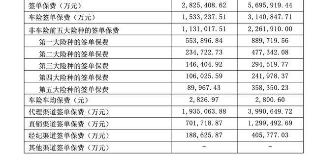 图源：国寿财险偿付能力报告