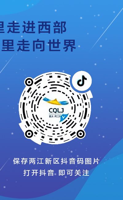 总编：