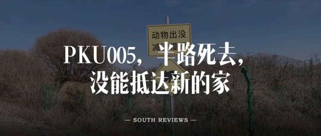 南风窗新媒体 出品