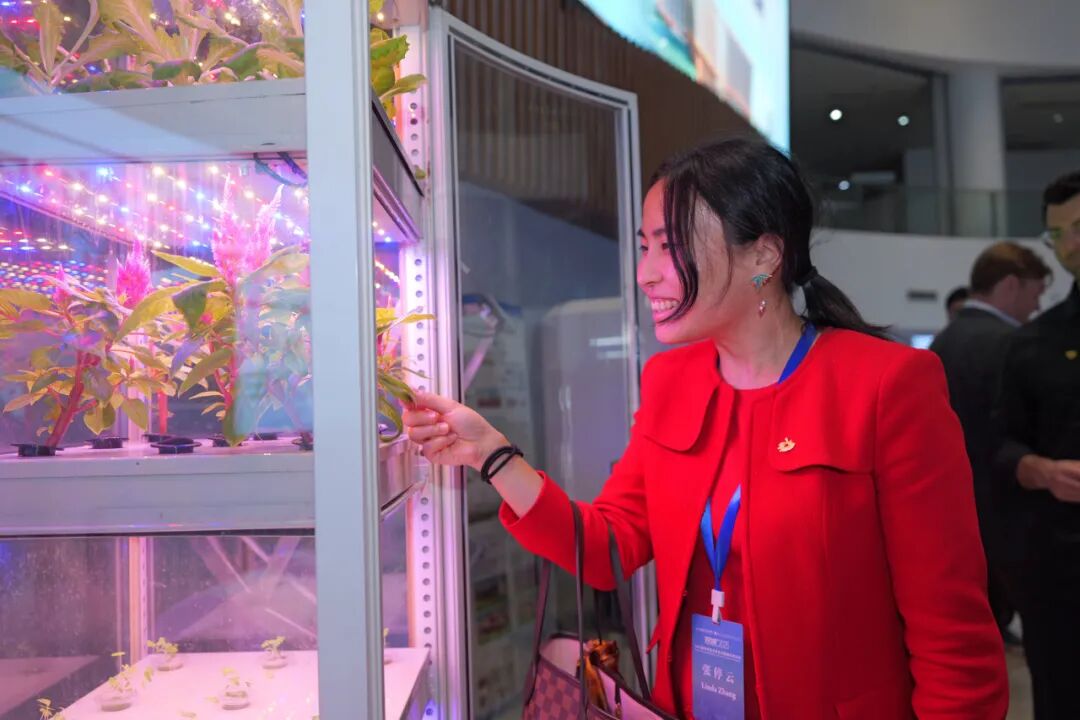 左右滑动查看更多