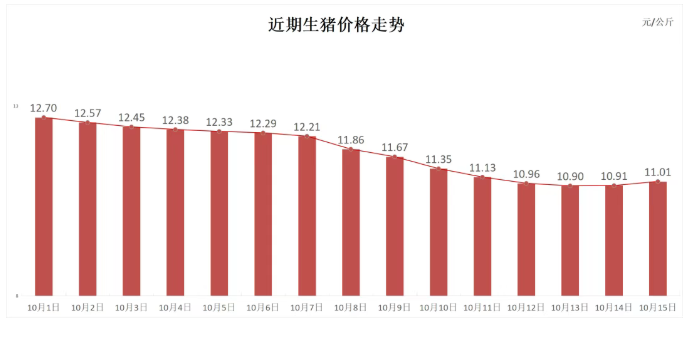 【財(cái)經(jīng)分析】期現(xiàn)豬價(jià)連續(xù)兩日反彈 豬價(jià)能否迎來漲勢(shì)？
