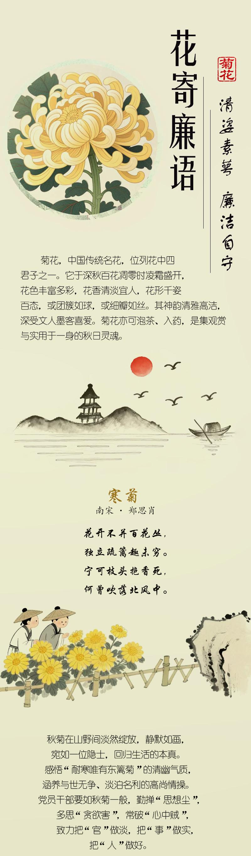 菊花：清姿素萼 廉洁自守