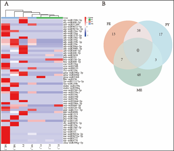 大熊猫血液中植物来源 miRNA 的类型和丰度图片 来源：研究论文