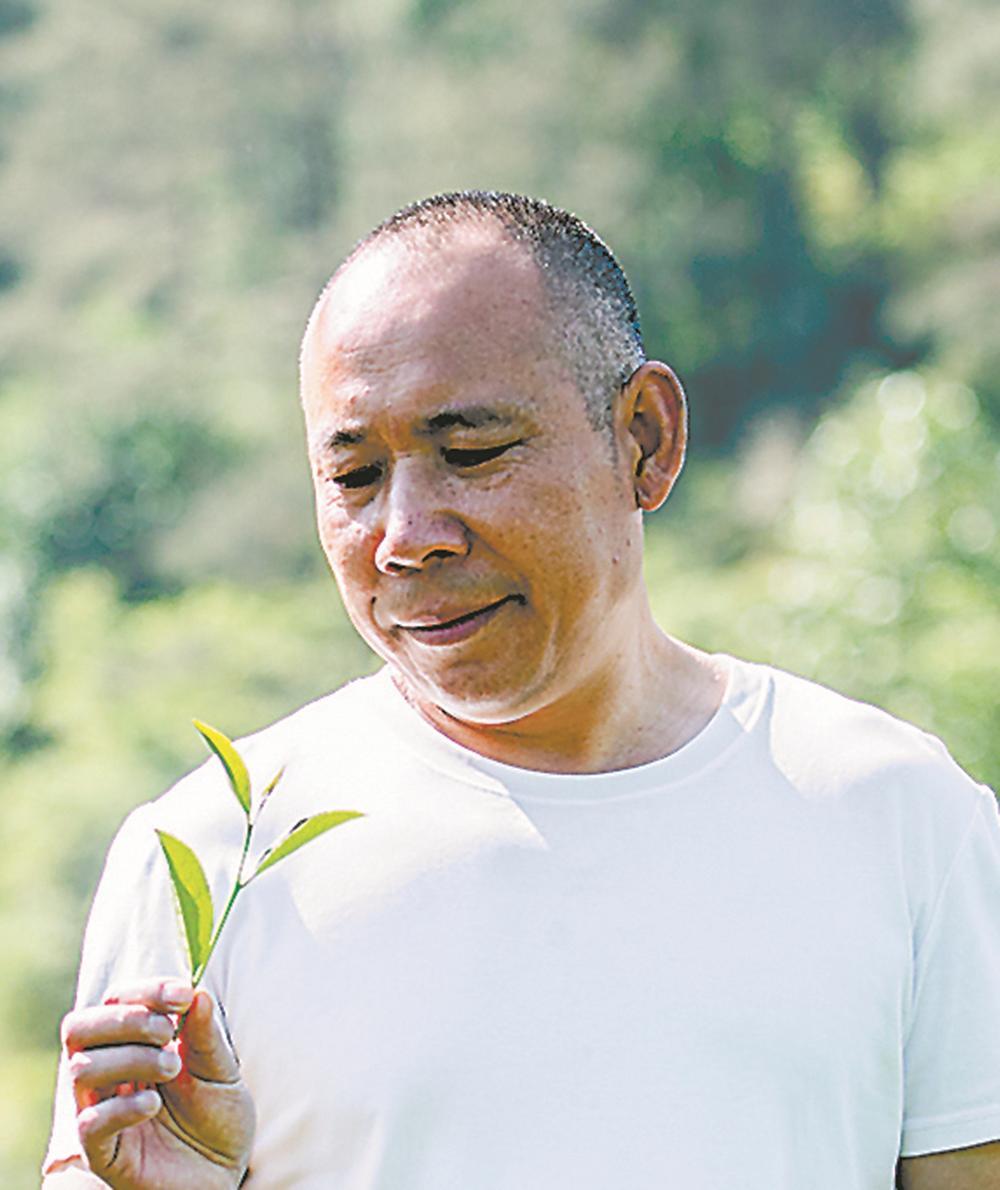 武夷山碧水丹山生态美·回响
