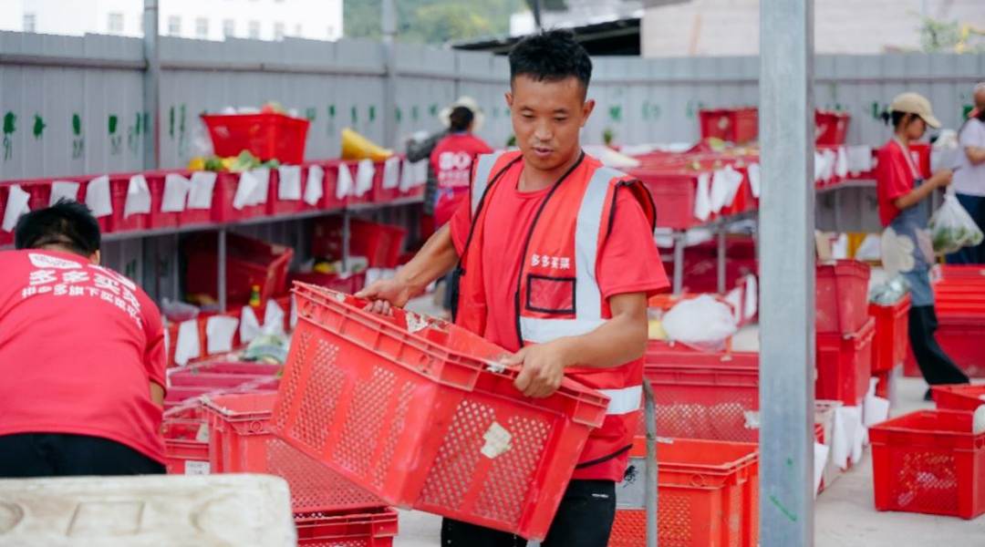 ▲ 四川凉山地区过去很难买到河鲜海鲜以及新鲜的蔬菜，多多买菜进驻后解决了当地吃鲜难的问题。李靖  摄