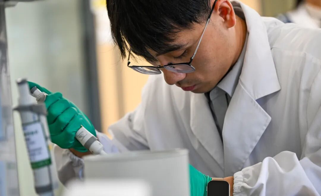 科研人员在海南三亚崖州湾科技城中国种子集团有限公司的实验室工作 / 新华社记者杨冠宇 摄