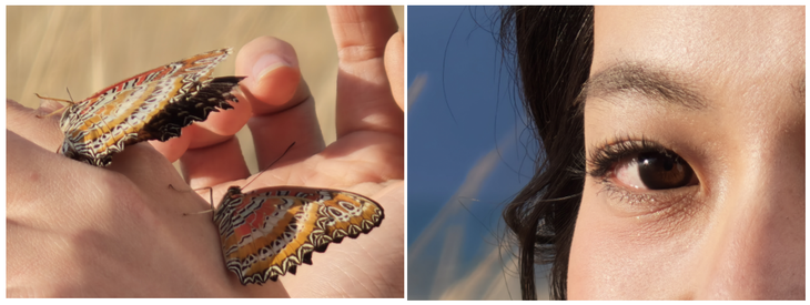 Find X9 Pro 哈苏 2 亿长焦原图局部裁切