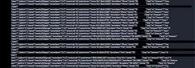 图为泄露的部分信息，敏感信息已被隐去（图源：Cybernews）