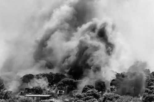 图片来源：Alamy Stock Photo