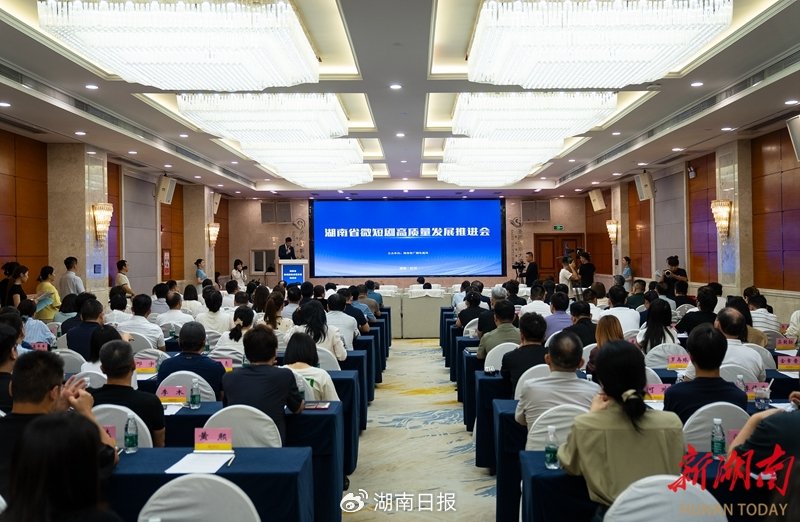 湖南省微短剧高质量发展推进会现场。湖南日报·新湖南客户端记者邓正可摄
