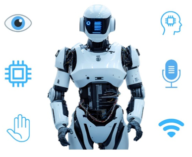 图3 人形机器人感知能力示意图