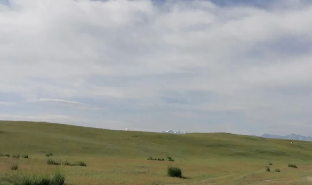 北交新股資金檔位對應戶(hù)數推斷&泰凱英申購結果分析