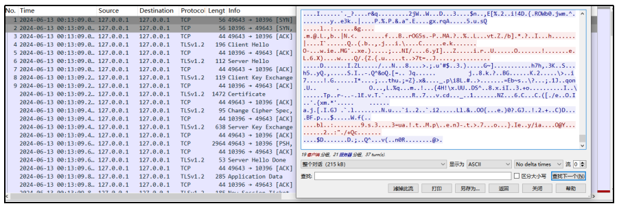 ▲ 本地回环通信数据包