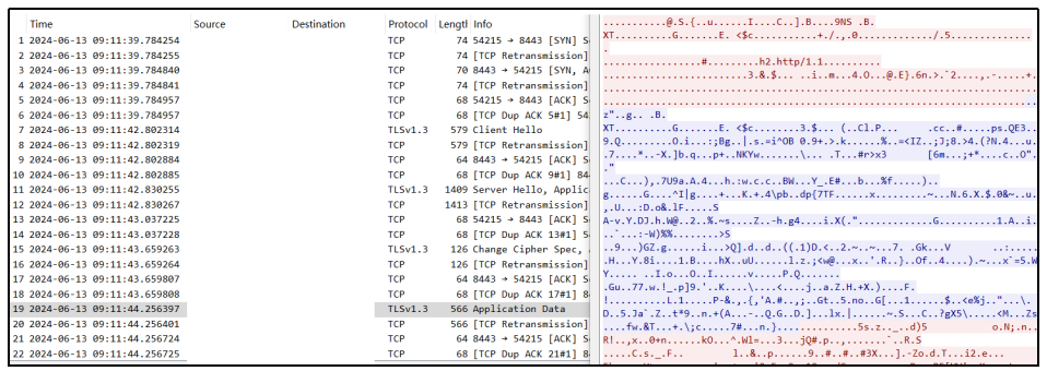 ▲ 2024 年 6 月 13 日网攻窃密数据包