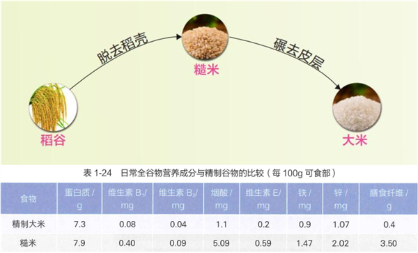 大米的制作历程及大米与糙米的养分对比（图源：参考文件[6,7]）