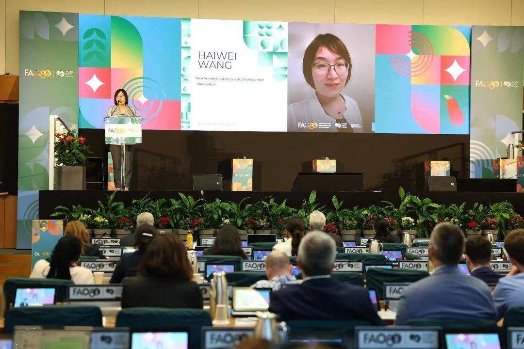 拼多多企业发展副总裁王海薇在科学与创新论坛发表主题演讲 摄影 张锐