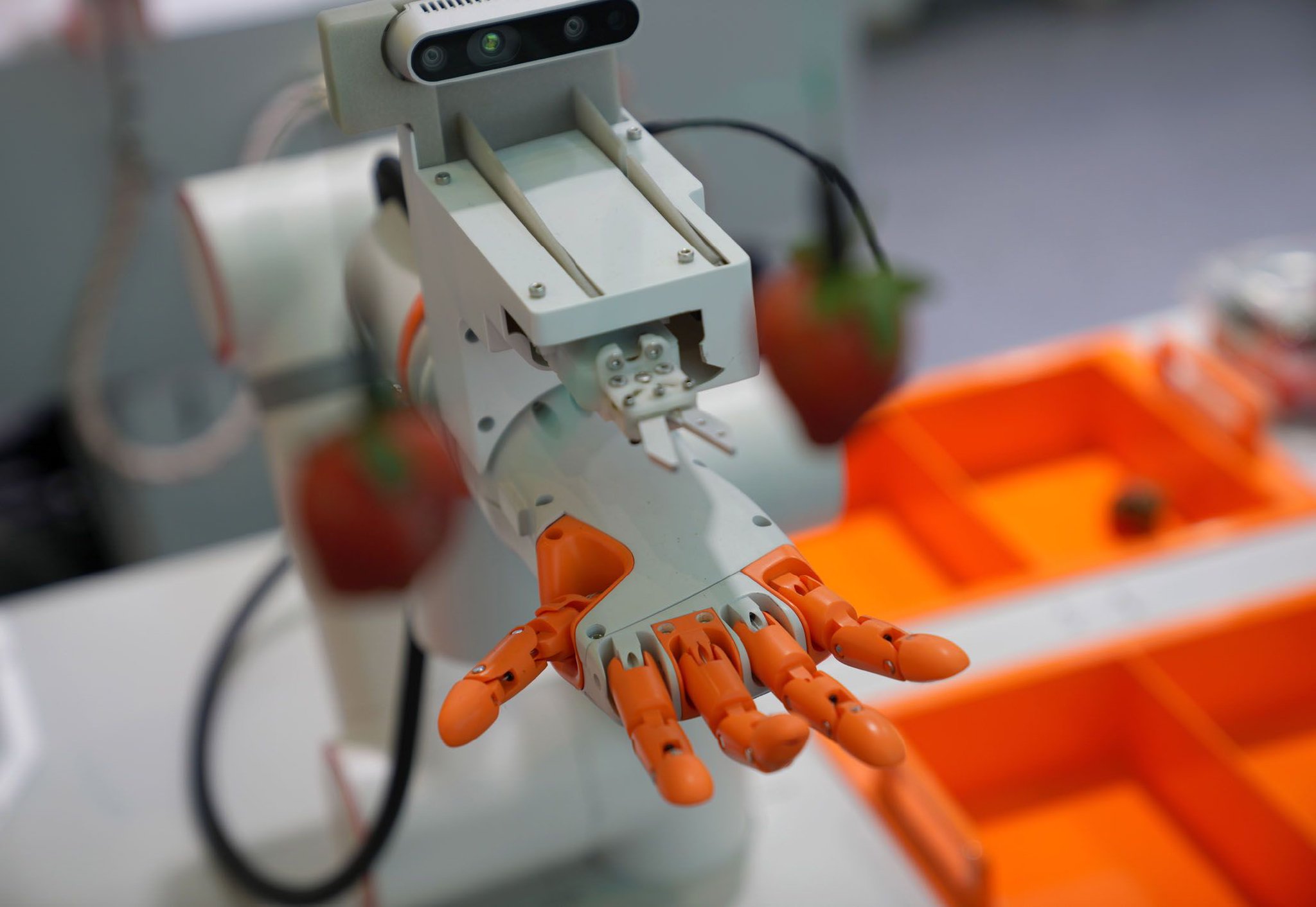 智能采摘机器人。资料照片