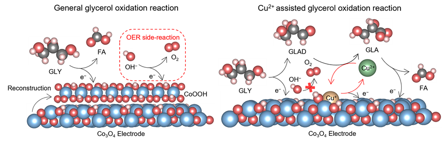 Cu2+操纵催化材料名义非晶化经过的暗意图。课题组供图