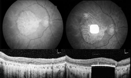 图片来源：Science Corporation