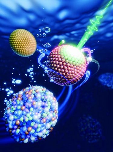 安徽师范大学供图