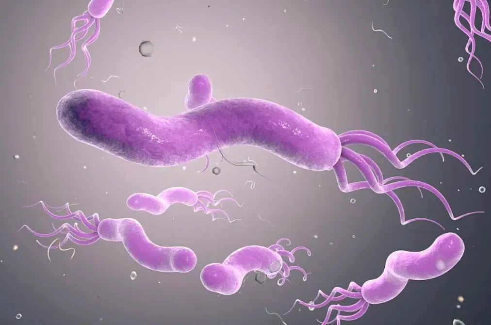 图片来源：视觉中国