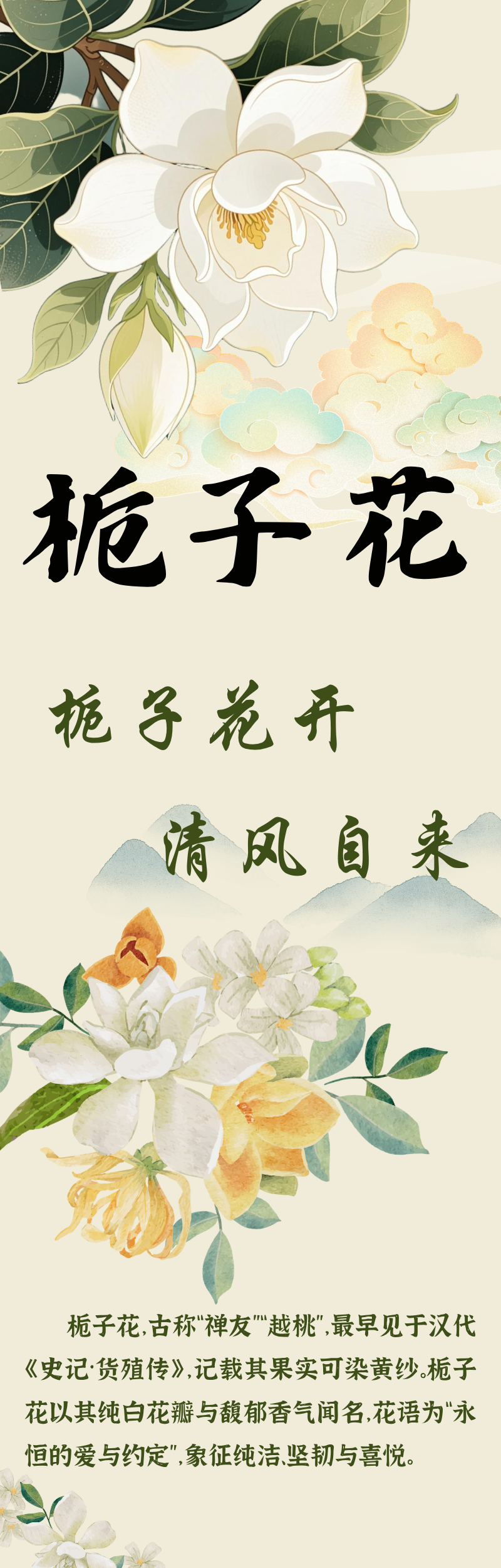 花寄廉语丨栀子花:栀子花开 清风自来