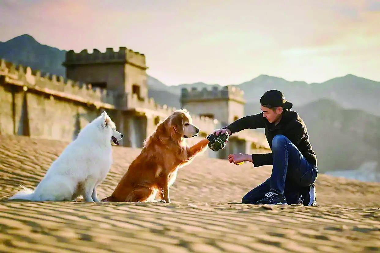 英宠摄影联合创始人兼摄影总监张天航正在拍摄 （受访者供图）