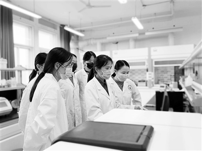 张艳教授团队正在进行测试实验及数据分析。受访单位供图