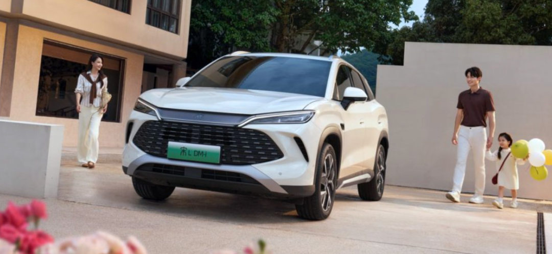 比亚迪_比亚迪AI辅助驾驶_秦L DM-i AI降油耗