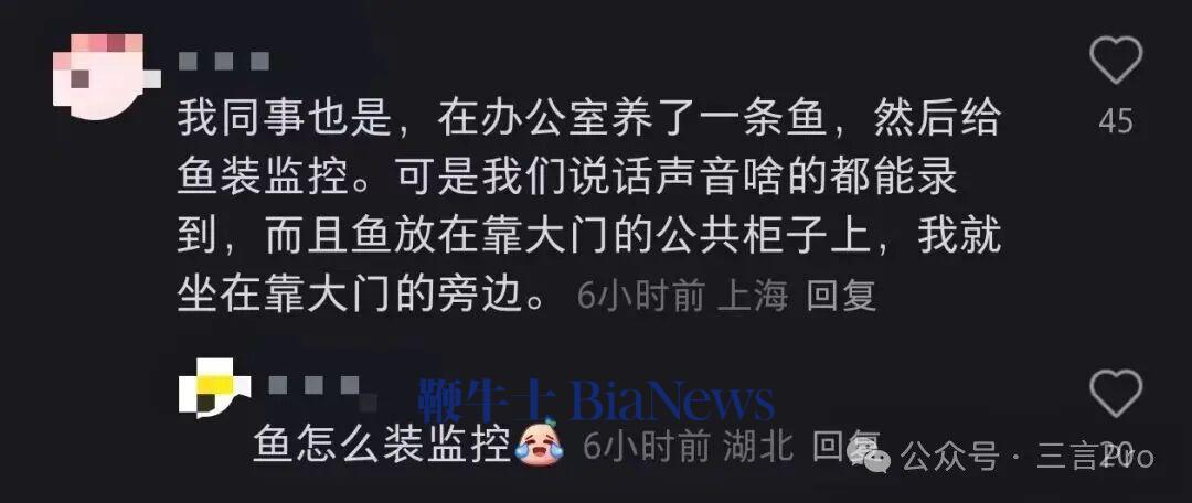 一名网友称,自己同事在办公桌养了一条鱼,然后给鱼缸装了监控。虽然画面只拍摄鱼,但说话声音也都录的到;