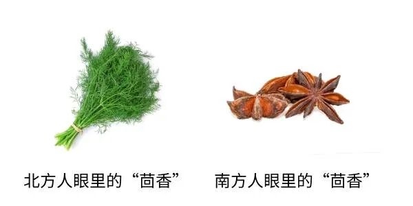 图片来源：自己做的