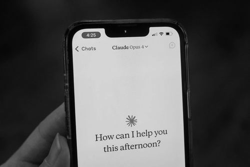 图片来源：Smith Collection/Gado