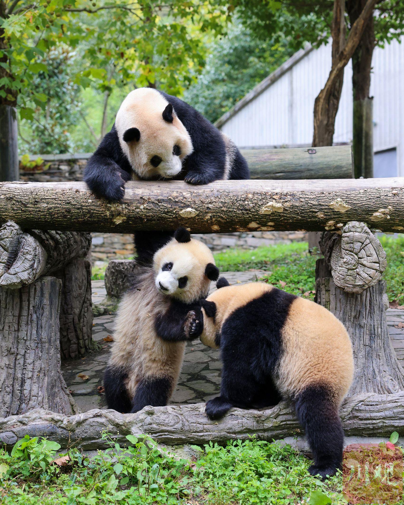 养成这些小习惯,不用再羡慕别人有好的佩戴体验了